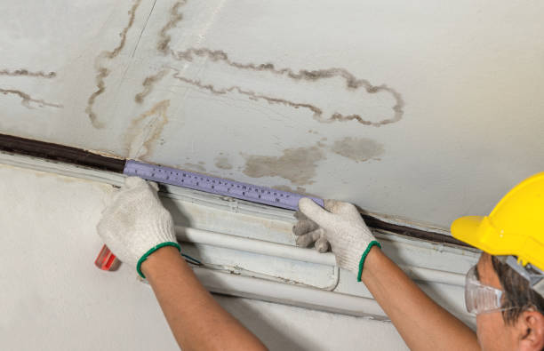 Reliable Mold Remediation contractor in Hilltop, MN by Water Damage Irwin
